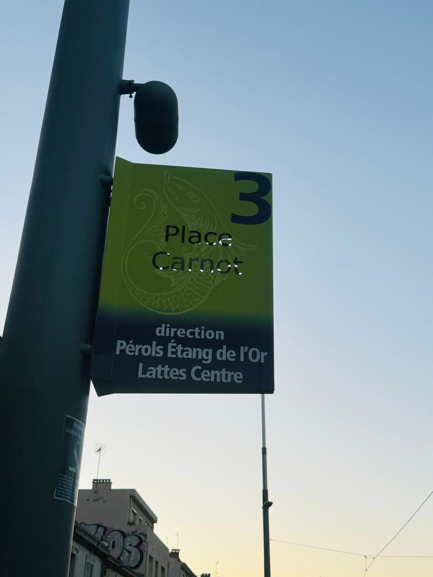 Paradis Calme En Plein Centre Ville Монпелие Екстериор снимка